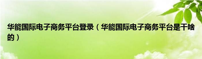 华能国际电子商务平台登录（华能国际电子商务平台是干啥的）