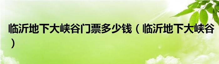 临沂地下大峡谷门票多少钱（临沂地下大峡谷）