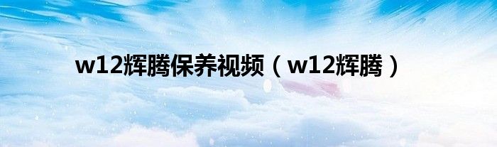 w12辉腾保养视频（w12辉腾）