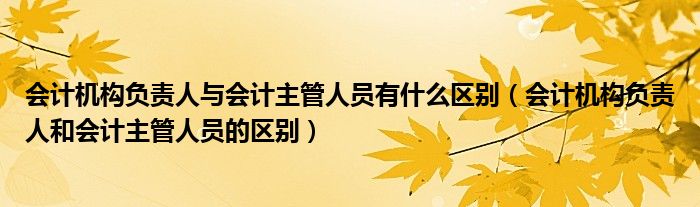 会计机构负责人与会计主管人员有什么区别（会计机构负责人和会计主管人员的区别）