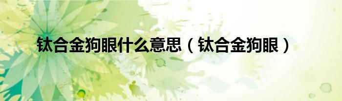 钛合金狗眼什么意思（钛合金狗眼）