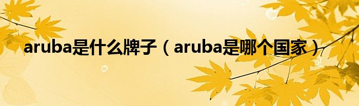 aruba是什么牌子（aruba是哪个国家）