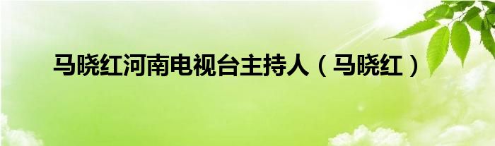 马晓红河南电视台主持人（马晓红）