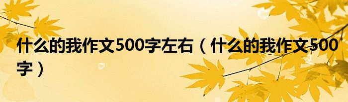 什么的我作文500字左右（什么的我作文500字）