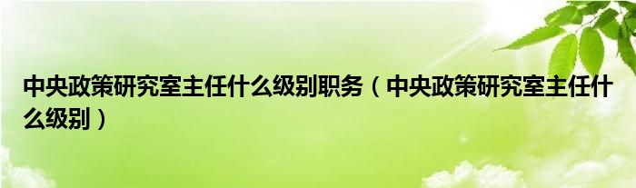 中央政策研究室主任什么级别职务（中央政策研究室主任什么级别）