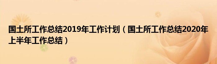 国土所工作总结2019年工作计划（国土所工作总结2020年上半年工作总结）