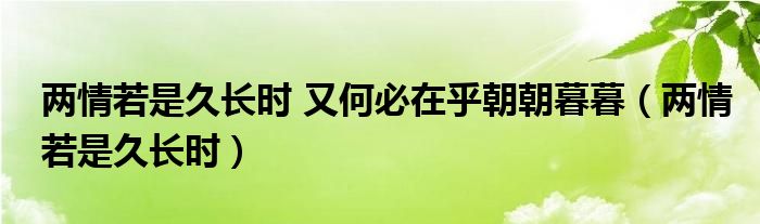 两情若是久长时 又何必在乎朝朝暮暮（两情若是久长时）