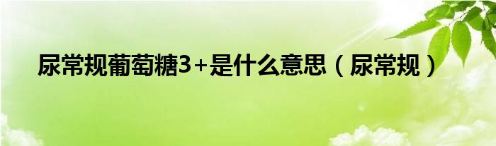 尿常规葡萄糖3+是什么意思（尿常规）