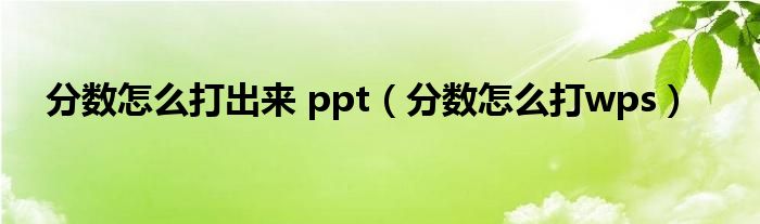 分数怎么打出来 ppt（分数怎么打wps）