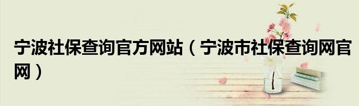 宁波社保查询官方网站（宁波市社保查询网官网）