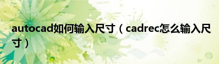 autocad如何输入尺寸（cadrec怎么输入尺寸）