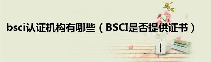 bsci认证机构有哪些（BSCI是否提供证书）