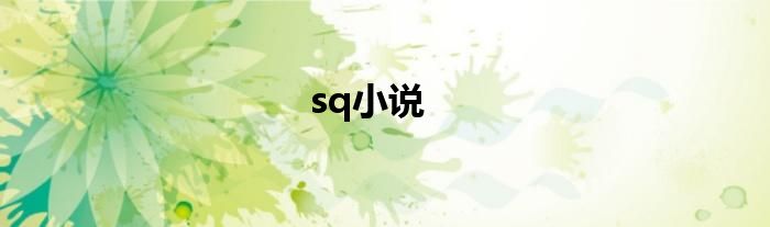 sq小说