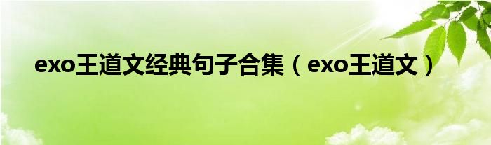 exo王道文经典句子合集（exo王道文）