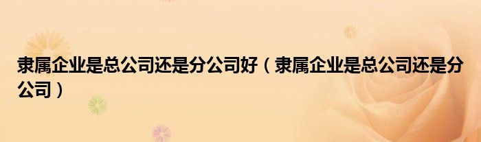 隶属企业是总公司还是分公司好（隶属企业是总公司还是分公司）