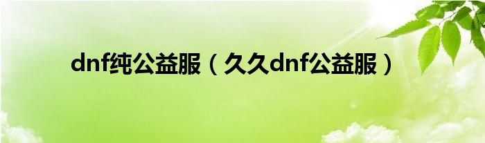 dnf纯公益服（久久dnf公益服）