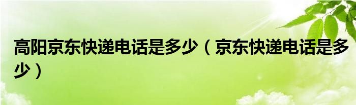 高阳京东快递电话是多少（京东快递电话是多少）