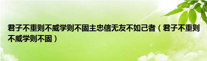 君子不重则不威学则不固主忠信无友不如己者（君子不重则不威学则不固）