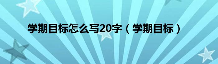 学期目标怎么写20字（学期目标）