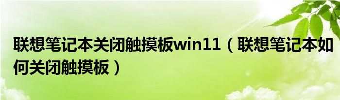 联想笔记本关闭触摸板win11（联想笔记本如何关闭触摸板）