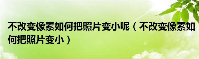 不改变像素如何把照片变小呢（不改变像素如何把照片变小）