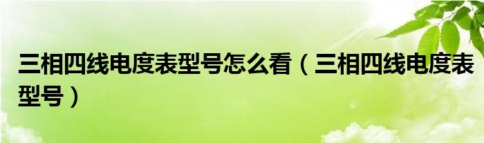 三相四线电度表型号怎么看（三相四线电度表型号）