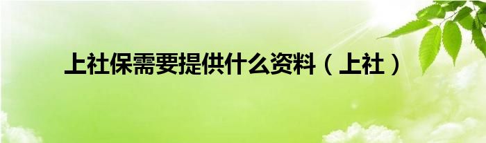 上社保需要提供什么资料（上社）