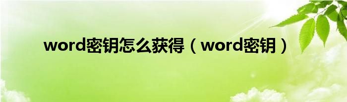 word密钥怎么获得（word密钥）