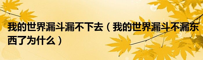 我的世界漏斗漏不下去（我的世界漏斗不漏东西了为什么）