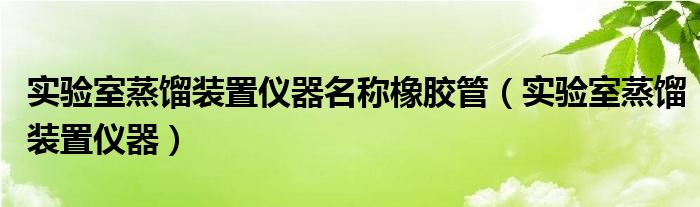 实验室蒸馏装置仪器名称橡胶管（实验室蒸馏装置仪器）