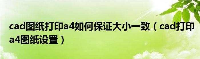 cad图纸打印a4如何保证大小一致（cad打印a4图纸设置）