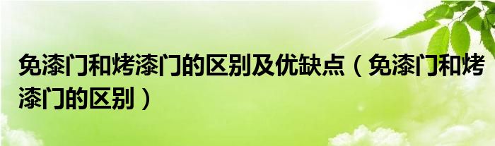 免漆门和烤漆门的区别及优缺点（免漆门和烤漆门的区别）