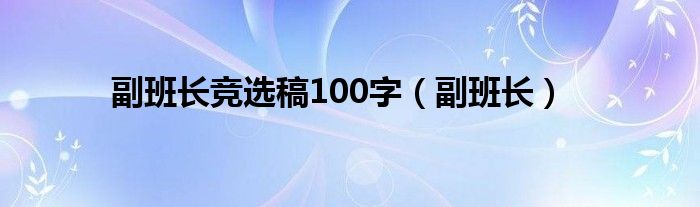 副班长竞选稿100字（副班长）