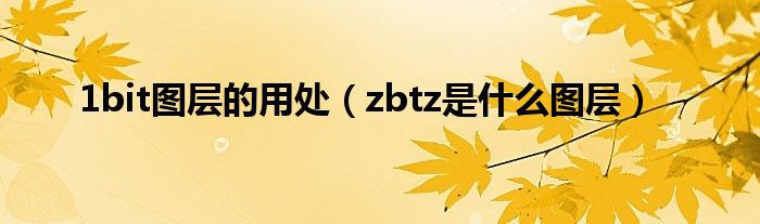 1bit图层的用处（zbtz是什么图层）