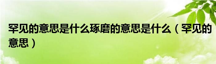 罕见的意思是什么琢磨的意思是什么（罕见的意思）