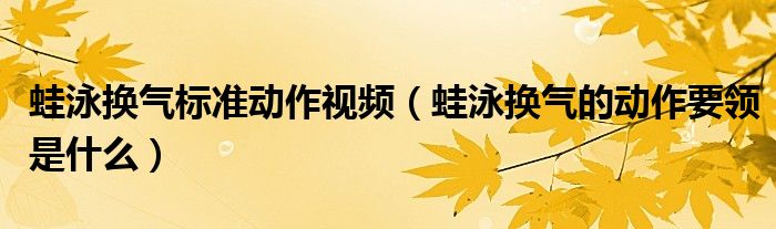 蛙泳换气标准动作视频（蛙泳换气的动作要领是什么）