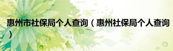 惠州市社保局个人查询（惠州社保局个人查询）