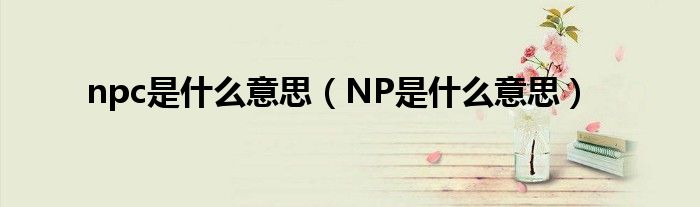 npc是什么意思（NP是什么意思）