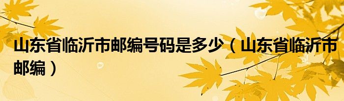 山东省临沂市邮编号码是多少（山东省临沂市邮编）