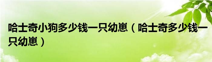 哈士奇小狗多少钱一只幼崽（哈士奇多少钱一只幼崽）