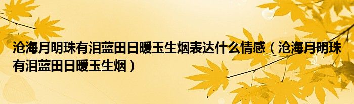 沧海月明珠有泪蓝田日暖玉生烟表达什么情感（沧海月明珠有泪蓝田日暖玉生烟）