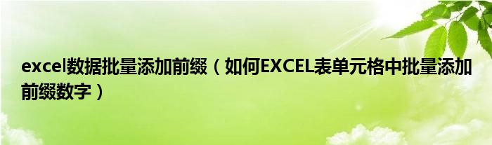 excel数据批量添加前缀（如何EXCEL表单元格中批量添加前缀数字）