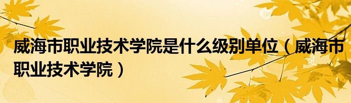 威海市职业技术学院是什么级别单位（威海市职业技术学院）