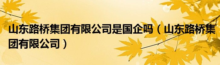 山东路桥集团有限公司是国企吗（山东路桥集团有限公司）