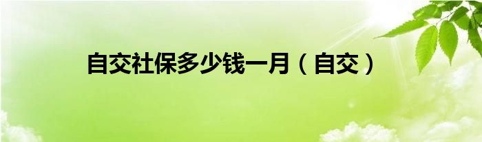 自交社保多少钱一月（自交）