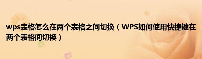 wps表格怎么在两个表格之间切换（WPS如何使用快捷键在两个表格间切换）