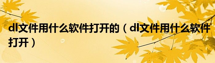 dl文件用什么软件打开的（dl文件用什么软件打开）