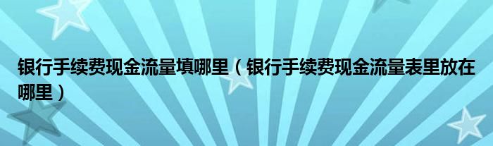 银行手续费现金流量填哪里（银行手续费现金流量表里放在哪里）