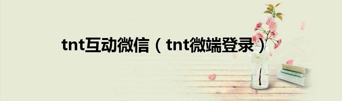 tnt互动微信（tnt微端登录）