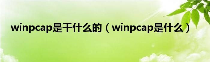 winpcap是干什么的（winpcap是什么）